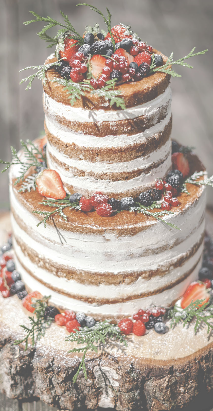 3-tier rustic style wedding cake topped with mixed berries, evergreen leaves and sprinkled icing sugar. The cake is sitting on a slice of wood