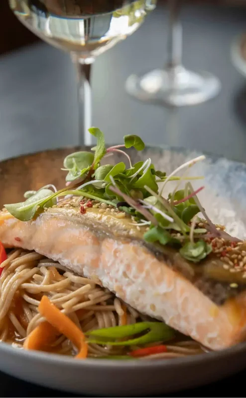 Elegant dining with a salmon dish and wine at The Gateway Hotel Dundalk.